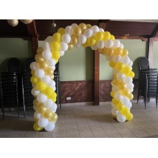 Ballonnenboog 3 kleuren (twister)