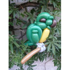 Ballonfiguur Dieren Vogels Kea