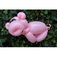 Ballonfiguur Dieren Varken (in de wei)