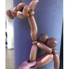 Ballonfiguur Dieren Kameel
