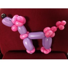 Ballonfiguur Dieren Hond (poedel)