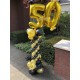 Ballonpilaar 50 jaar