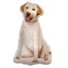 Folieballon Dieren Hond Labrador  Folieballon Dieren Hond Labrador