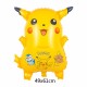 Pokemon Pokemon