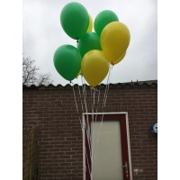 Helium Tros incl. lint (11 stuks)