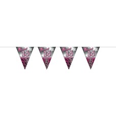 Vlaggenlijn Viering Verjaardag Sweet 16 (roze - zilver) Vlaggenlijn Viering Verjaardag Sweet 16 (roze - zilver)